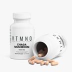 Chaga Mushroom