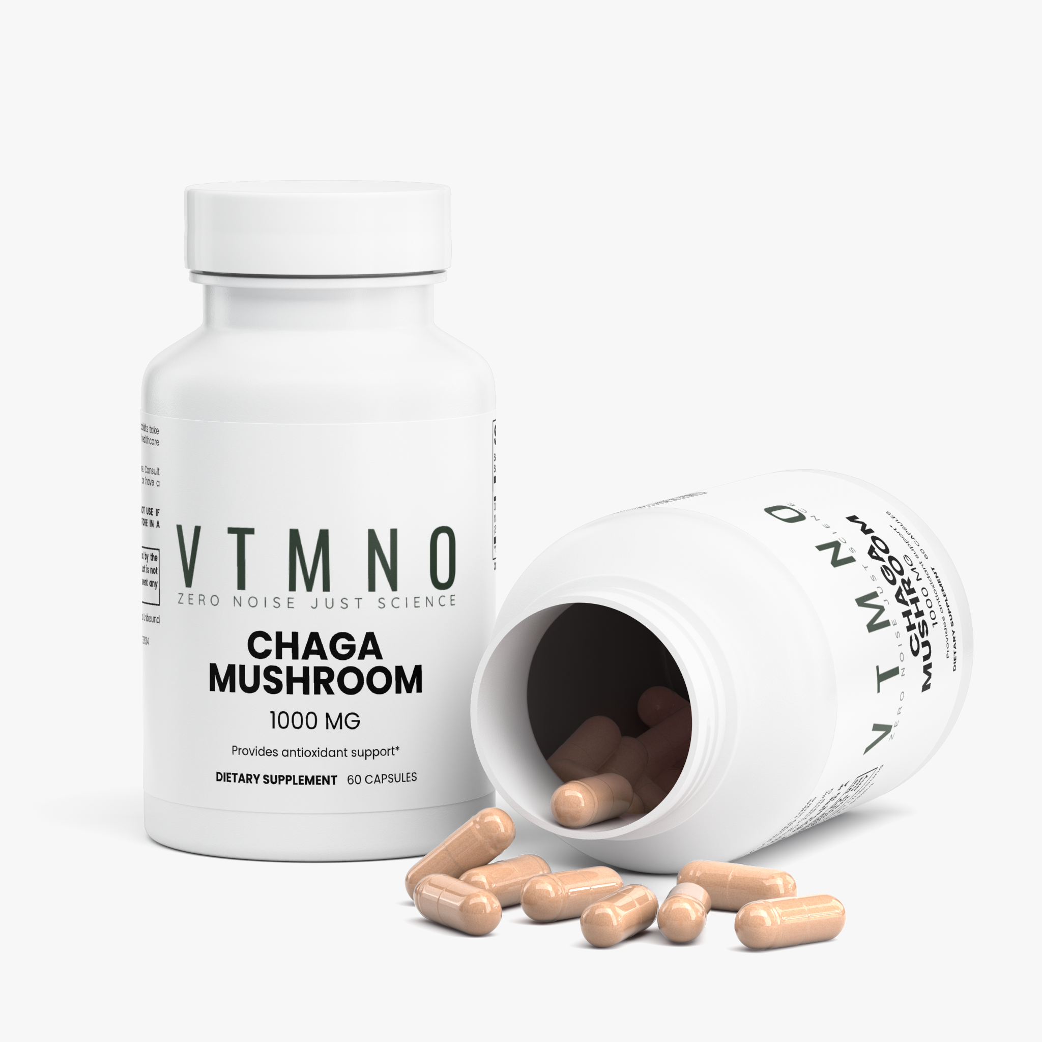 Chaga Mushroom